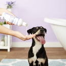 Miconahextriz Shampoo Dogs Cats