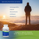 CountBoost Sperm Count Supplement