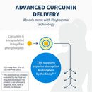 Curcuthera (Meriva® 500-SF) 60 vcaps