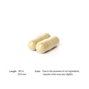 レスベラセル<h4>加齢による影響を内側から、外側からターゲットに。*</h4><p> ResveraCel は、身体の自然な老化プロセスと細胞代謝をサポートする 3 つの補完的な成分のサポート キャストを備えたニコチンアミド リボシドを特徴としています。</p>