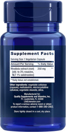 Rhodiola Extract, Rhodiola rosea Supplement, 250 mg, 60 Capsules
