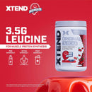 Xtend Original BCAA Powder Airheads Candy Flavor