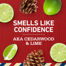 Old Spice Swagger 2in1 Shampoo and Conditioner for Men (39.9 fl. oz.)