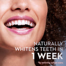 Oral-B Charcoal Electric Toothbrush Replacement Brush Heads (8 ct. Refills)