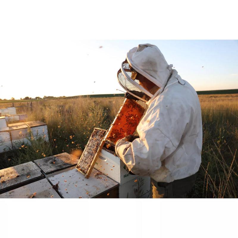 Local Hive Northeast Raw & Unfiltered Honey (48 oz.)