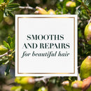 Herbal Essences bio:renew Argan Oil & Aloe Sulfate-Free Shampoo (29.2 fl. oz.)