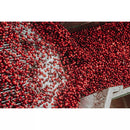 Member's Mark Clinical Strength Cranberry Dietary Supplement, 500 mg (150 ct.)