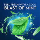 Oral-B Glide Floss Picks, Scope Outlast (75 ct./pk., 300 total)