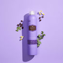 HASK Biotin Boost Thickening Dry Shampoo (6.5 oz., 2 pk.)