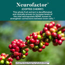 NEURIVA Brain Performance, Original Gummies (70 ct.)