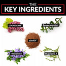 Force Factor Forebrain Memory Support Supplement (30 ct., 2 pk.)