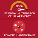 Qunol Mega CoQ10 Ubiquinol 100 mg. Softgels (120 ct.)