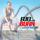 Evlution L Carnitine500 Capsules 120 Servings