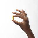 베르베린 및 MicroPQQ 고급