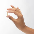 ルンブロキナーゼ酵素