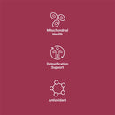 NAC with Milk Thistle