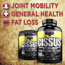 PrimaForce Cissus Quadrangularis Extract, - Unflavored Powder, 100 Grams