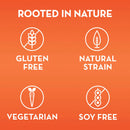 Align Probiotic Supplement for Daily Digestive Health (84 ct.)