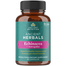 에키네시아 + 황기 60정