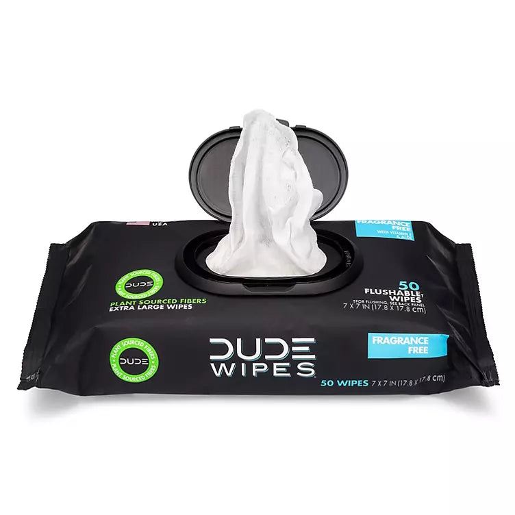 DUDE Wipes, Flushable Wipes, Extra Large and Fragrance-Free Wipes (400 ct.)