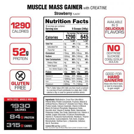 MUSCLE MASS GAINER 12LB