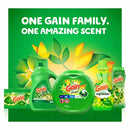 Gain Flings! Liquid Laundry Detergent Pacs, Original Scent (152 ct.)