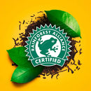 Lipton Iced Tea, Gallon Size Tea Bags (48 ct.)