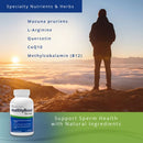 MotilityBoost Sperm Motility Supplement