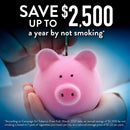 Member's Mark Nicotine Coated Gum 4mg, Cinnamon Flavor (300 ct.)