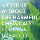 Member's Mark Nicotine Coated Gum 4mg, Cinnamon Flavor (300 ct.)