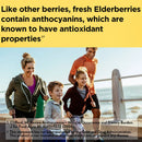 Nature Made Elderberry Gummies with Zinc and Vitamin C, for Immune Support Help (120 ct.)