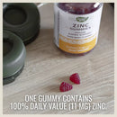 Nature's Way Zinc Gummies, Mixed Berry Flavored (200 ct.)