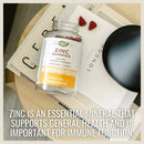 Nature's Way Zinc Gummies, Mixed Berry Flavored (200 ct.)