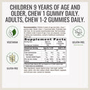 Nature's Way Zinc Gummies, Mixed Berry Flavored (200 ct.)