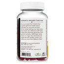 Nature's Way Zinc Gummies, Mixed Berry Flavored (200 ct.)