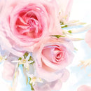 Olay Fresh Outlast Body Wash (23.6 oz., 3 pk.)