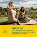 Ricola Original Natural Herb Cough Drops (2 pk., 115 ct./pk.)