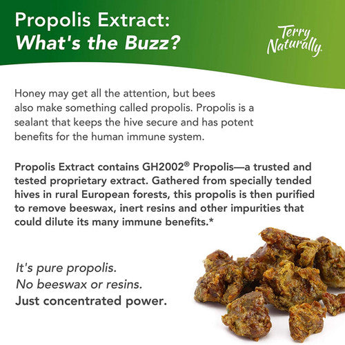 Propolis Extract 60 Caps