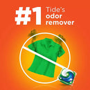 Tide PODS Liquid Laundry Detergent Pacs, Spring Meadow (168 ct.)
