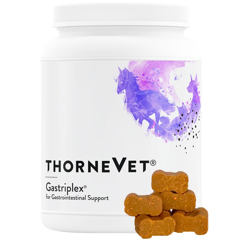 Gastriplex® 180 soft chews
