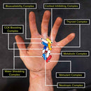 동물 컷<h4> 지방 절단 및 근육 분쇄 팩</h4>