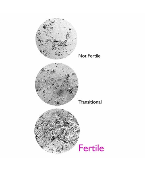 Fertile-Focus Saliva Ovulation Microscope